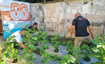 Pimpinan Bawaslu Karangasem Membersihkan Kebun Cabe